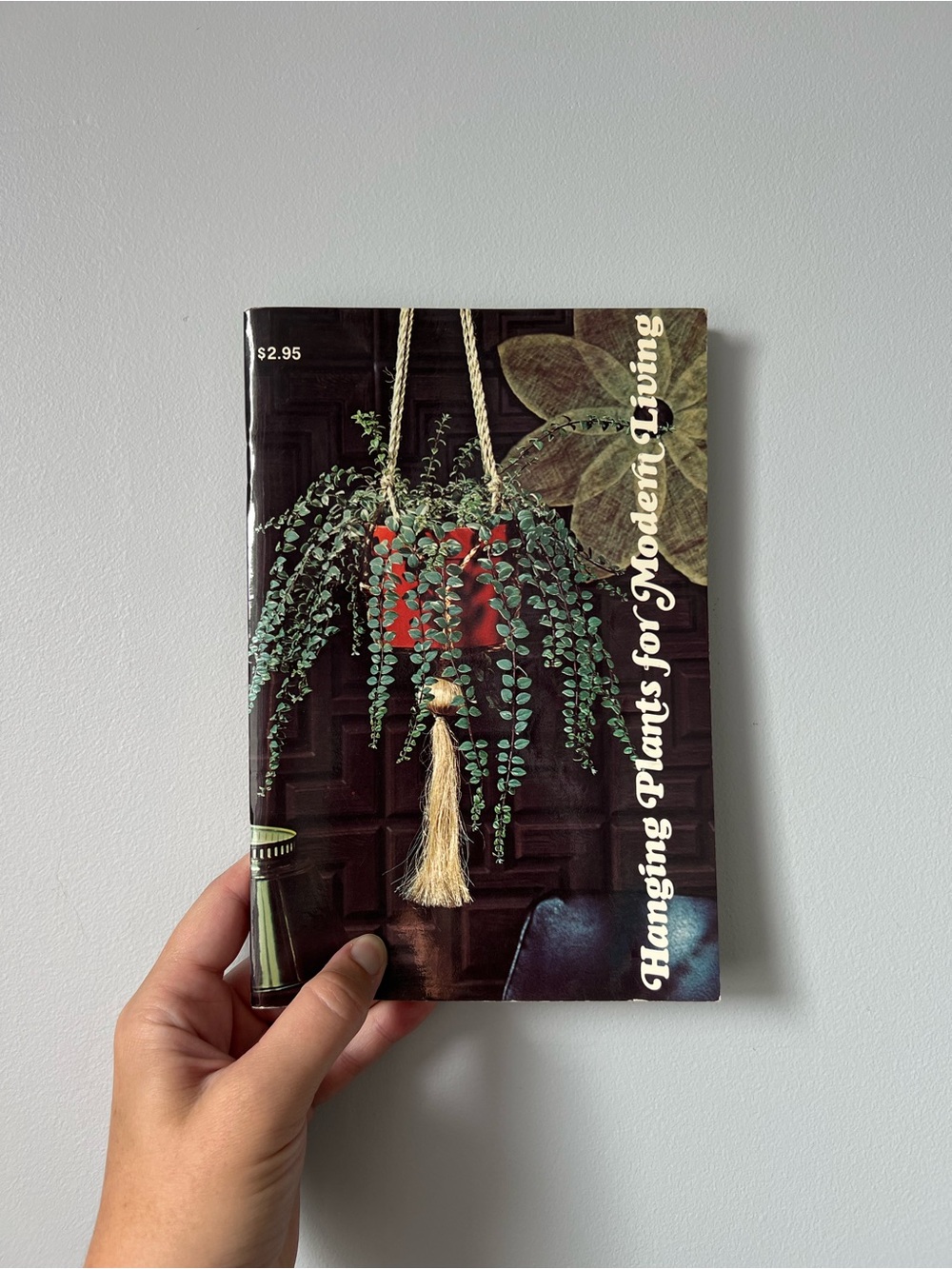 Hanging Plants for Modern Living